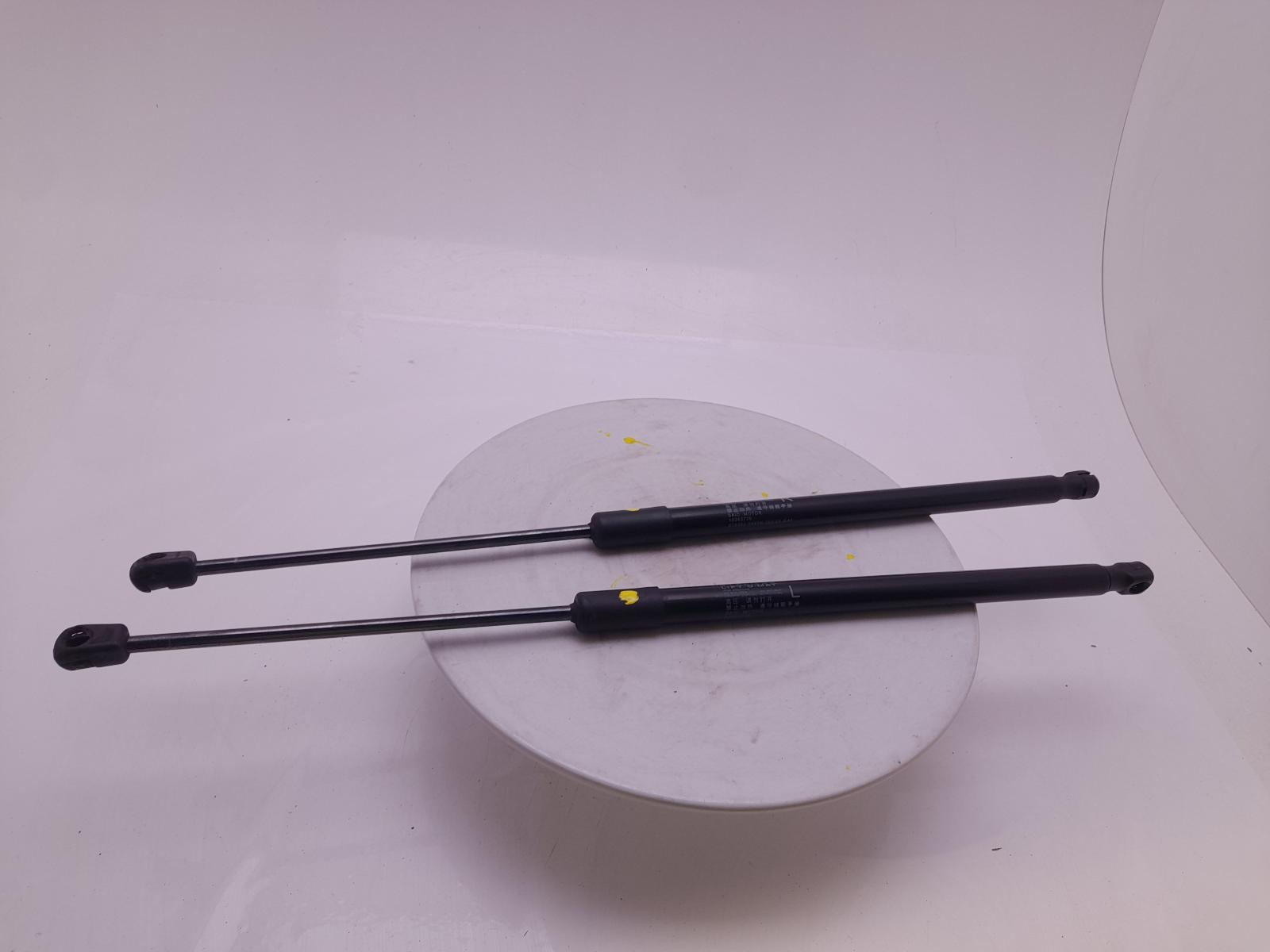 Hatch Strut/shock - Mg Hs 2024