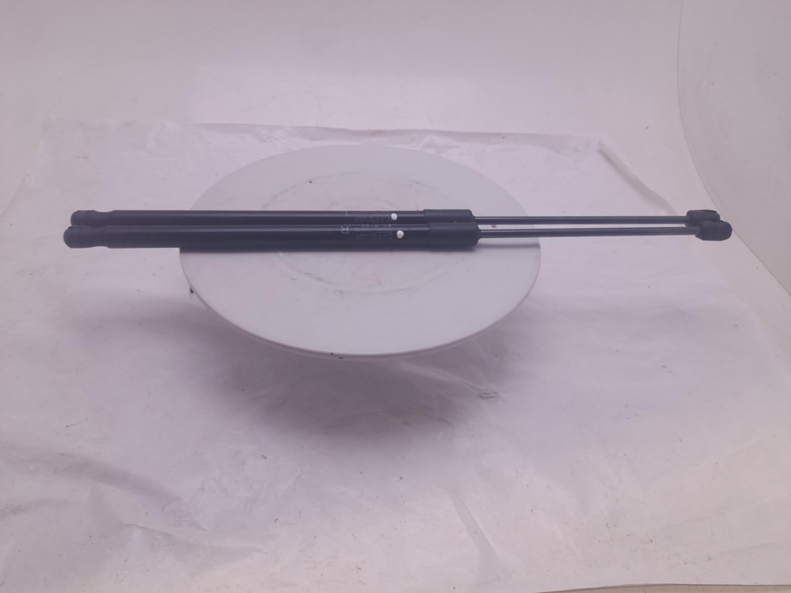 Hatch Strut/shock - Mg Hs 2023 - Image 3