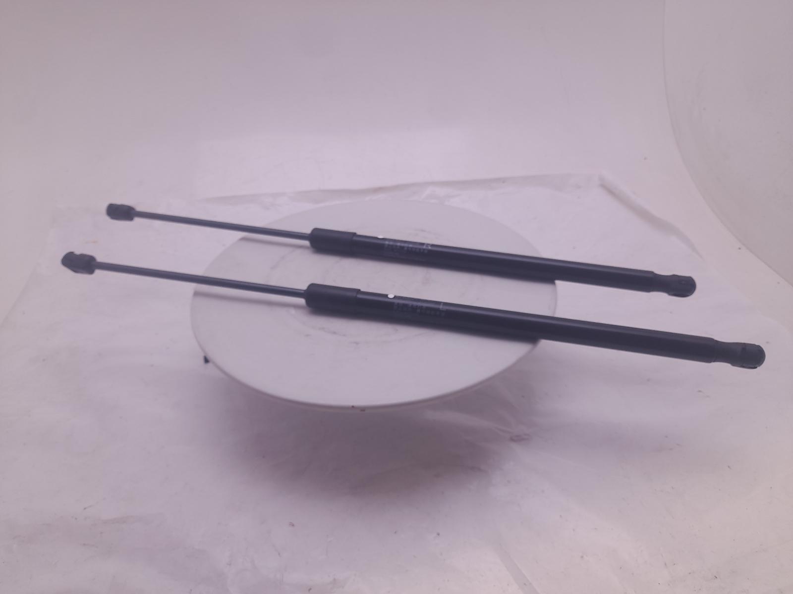Hatch Strut/shock - Mg Hs 2023