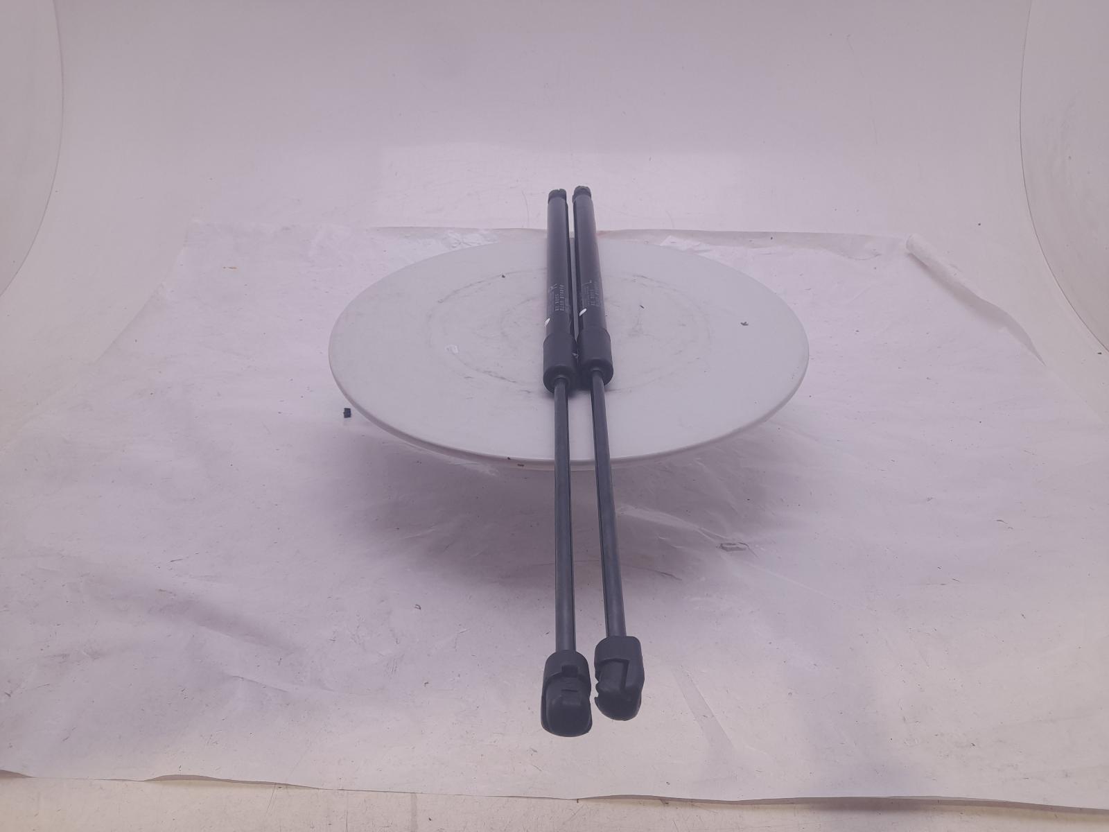 Hatch Strut/shock - Mg Hs 2023 - Image 4