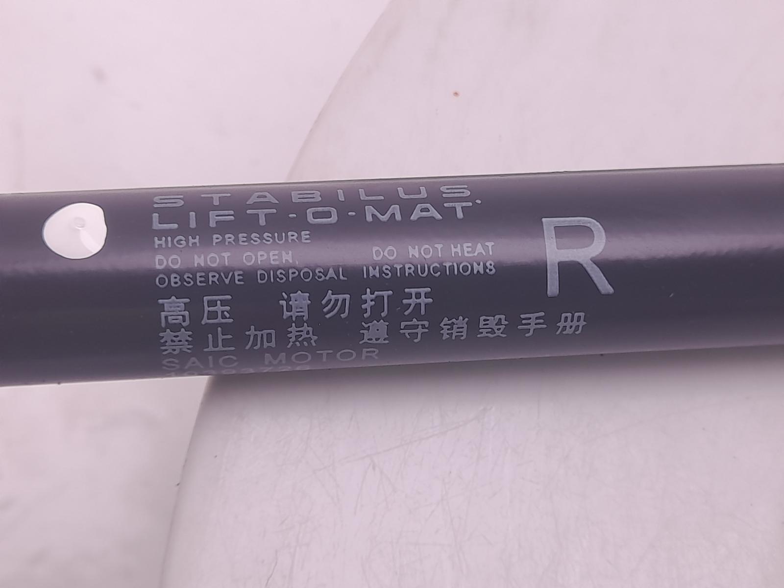Hatch Strut/shock - Mg Hs 2023 - Image 5