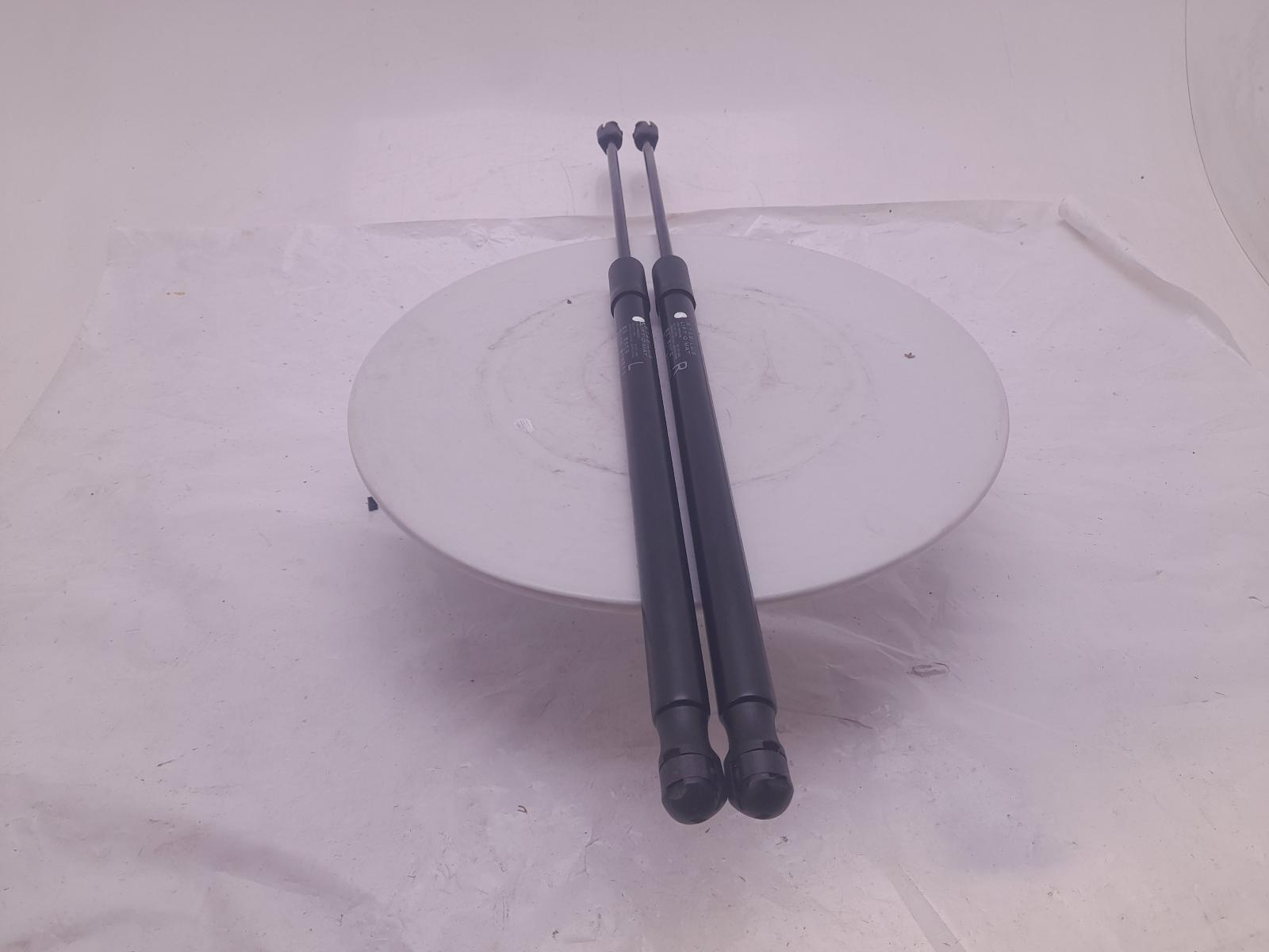Hatch Strut/shock - Mg Hs 2023 - Image 2