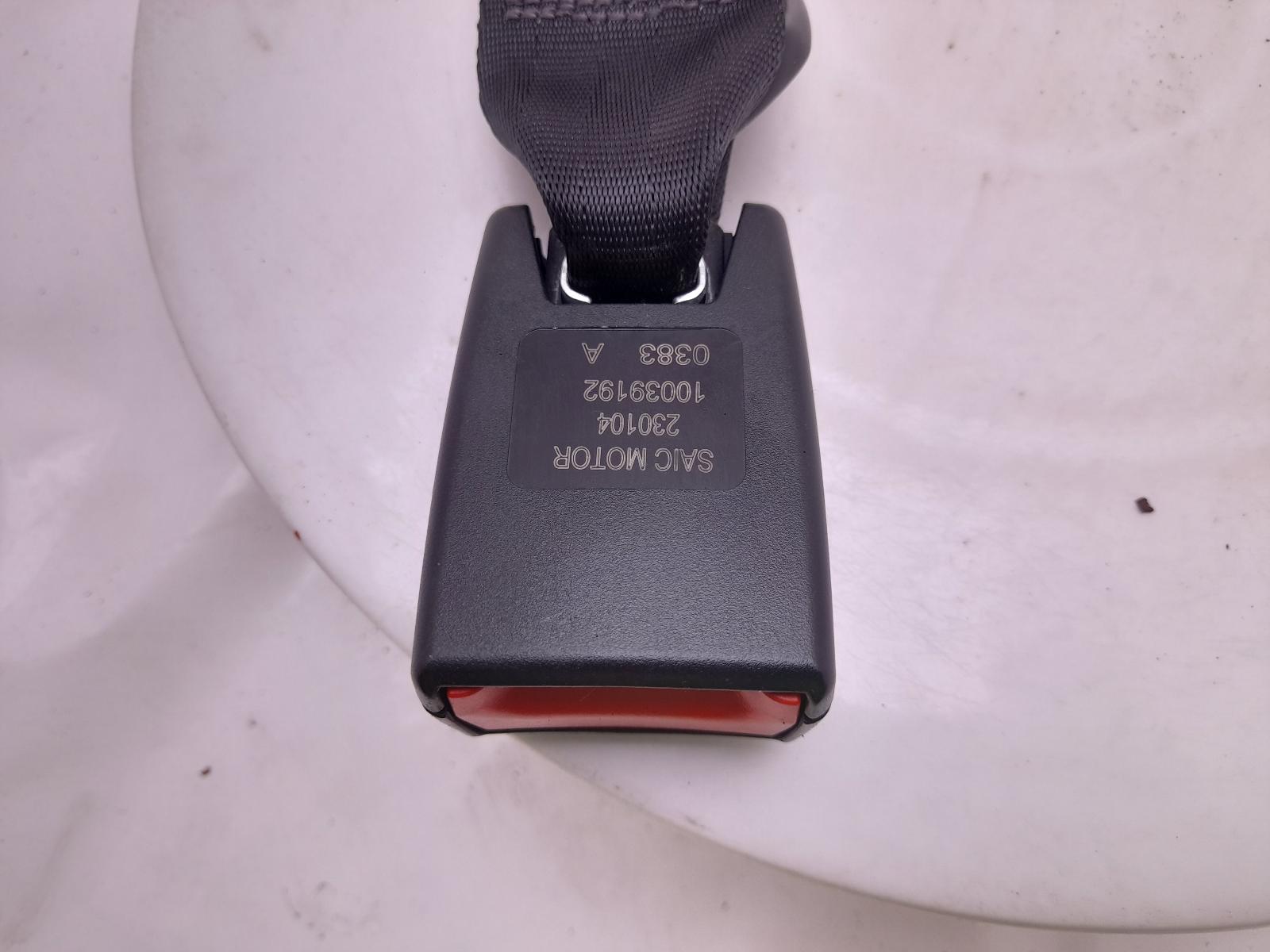 Seat Belt Stalk - Mg Hs 2023 - Image 4